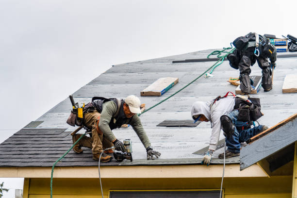 Professional Roof Repair technician working in East Livermore, ME